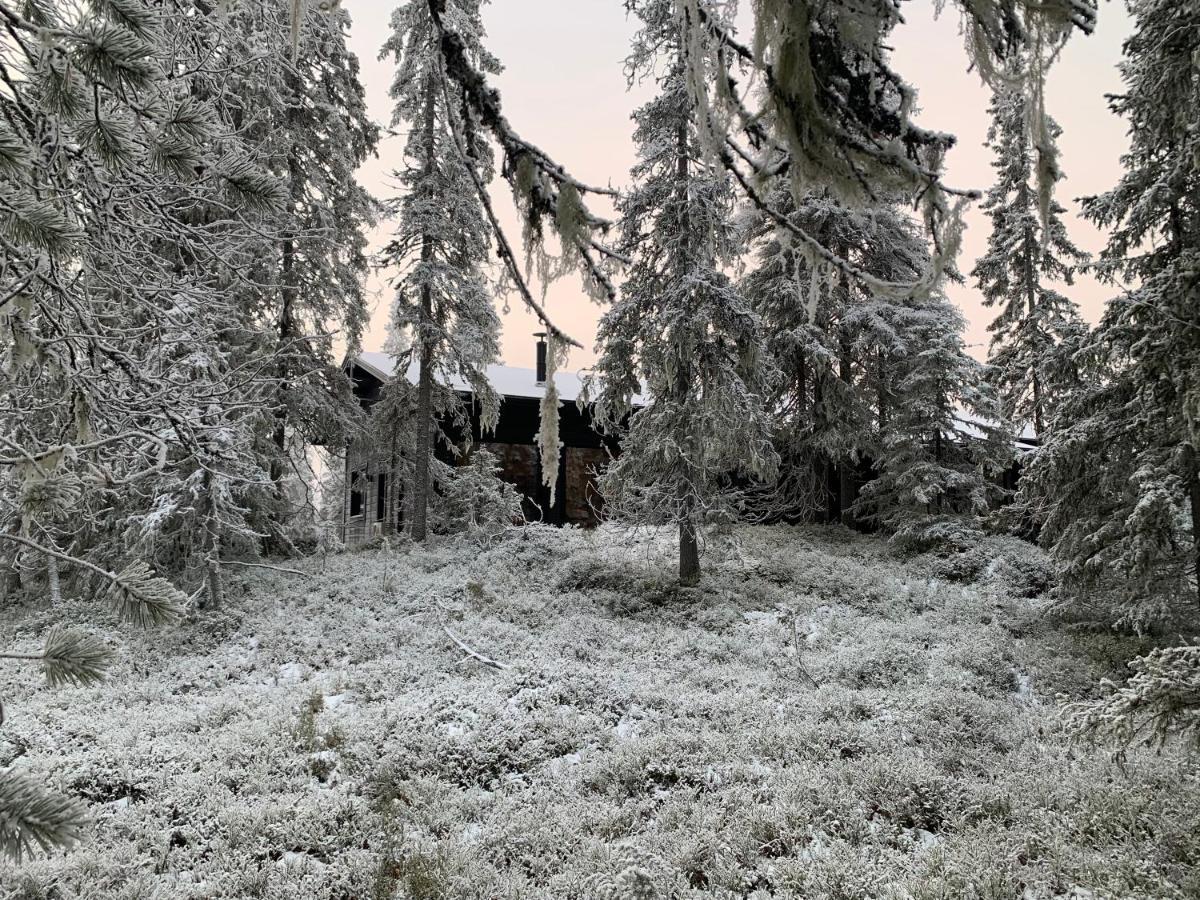 Chale Naava Villa Rukatunturi Eksteriør bilde