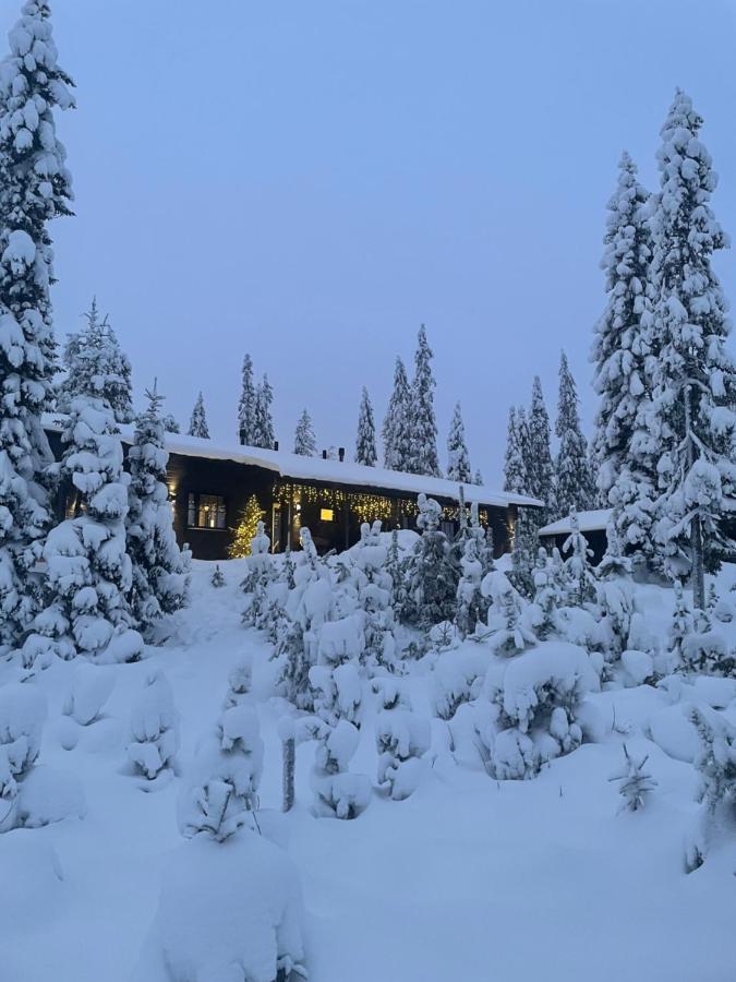 Chale Naava Villa Rukatunturi Eksteriør bilde